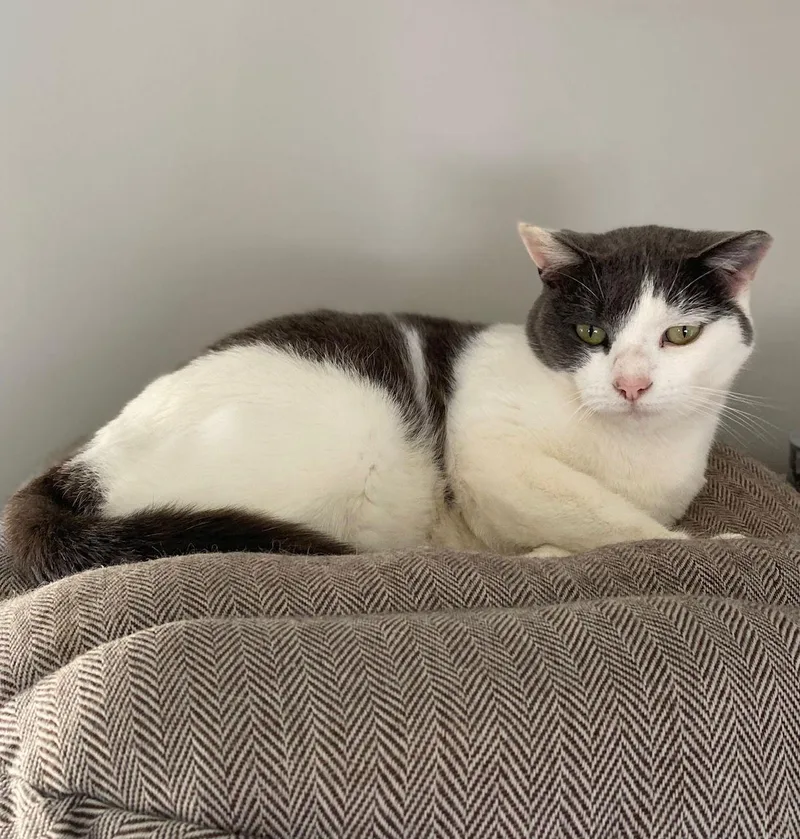 Matilda Dec thumbnail 2