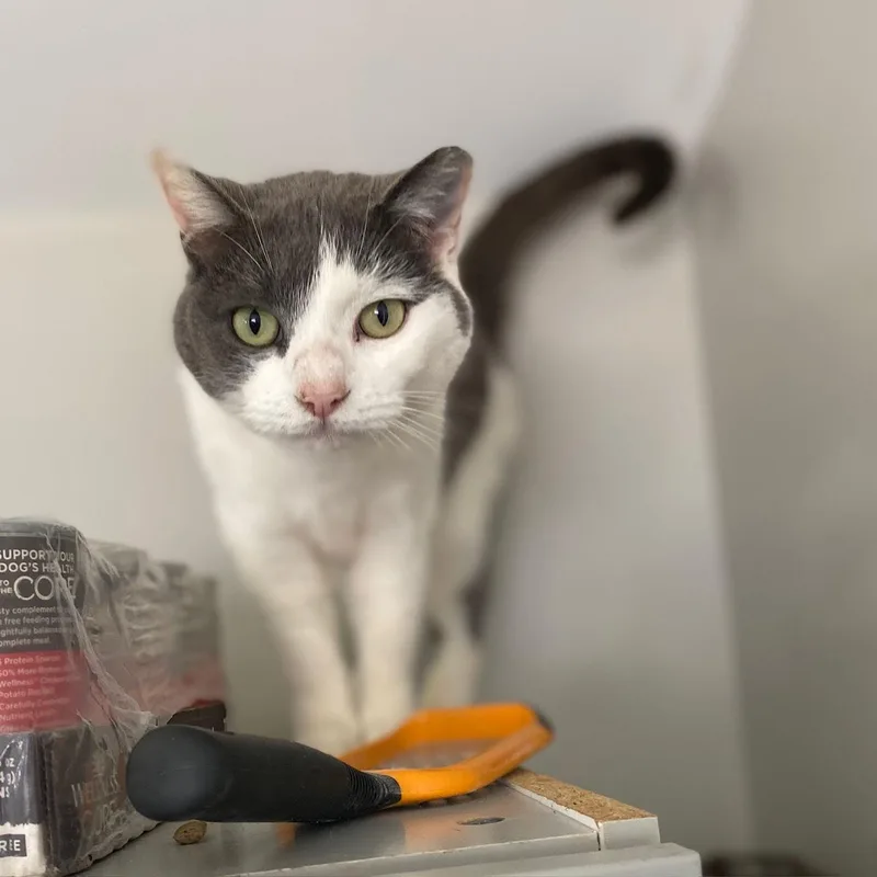 Matilda Dec thumbnail 3