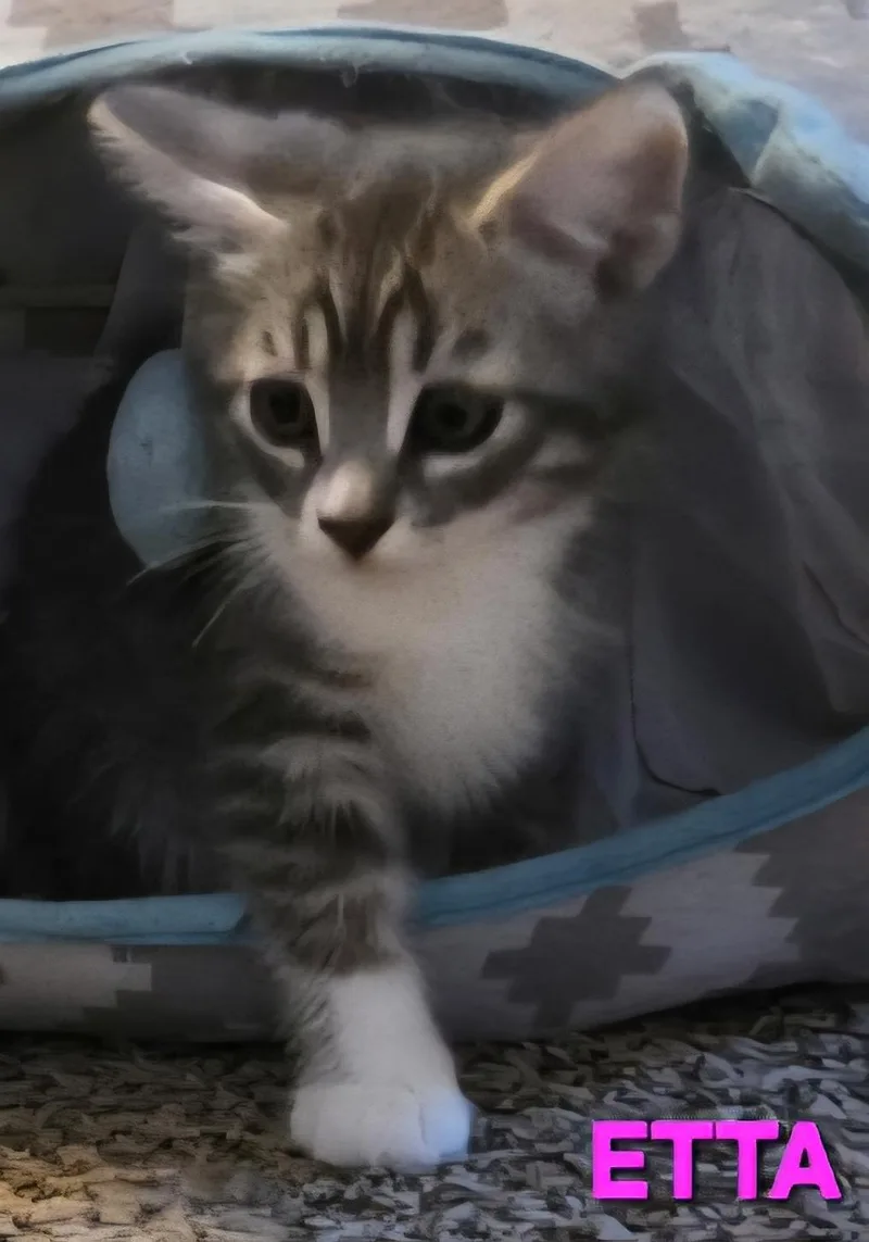 Etta