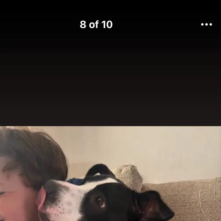 Oreo thumbnail 4