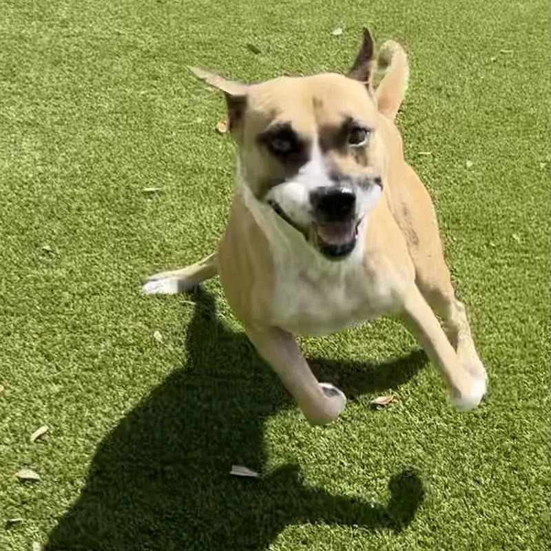 Freddy Krueger thumbnail 2