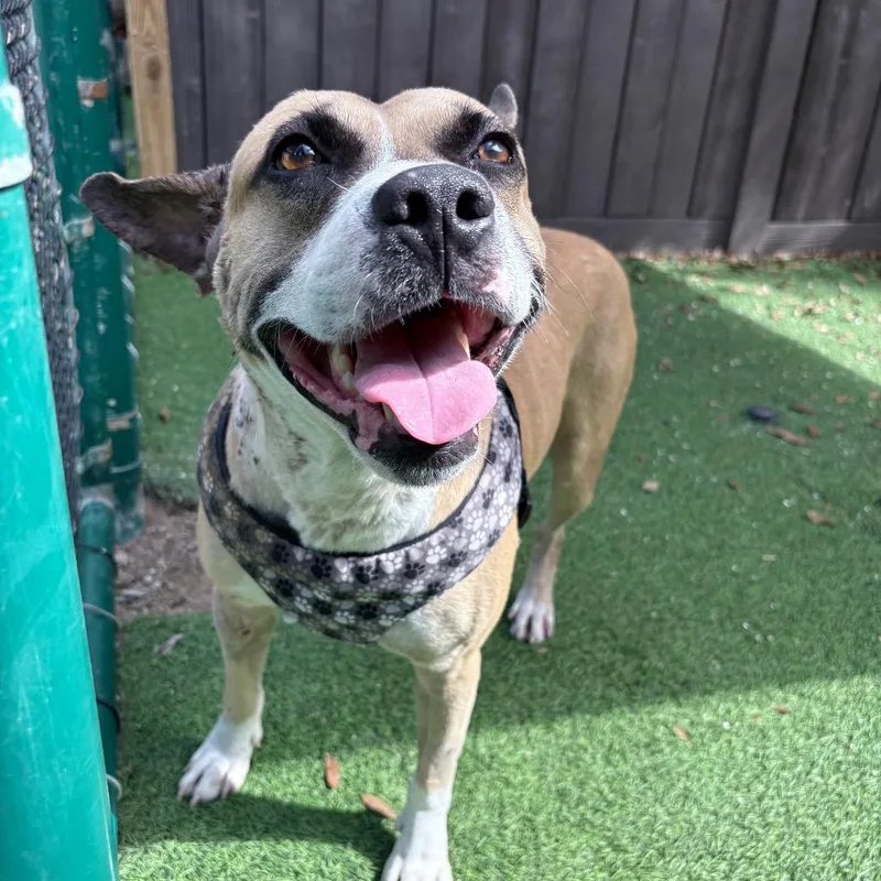 Freddy Krueger thumbnail 3