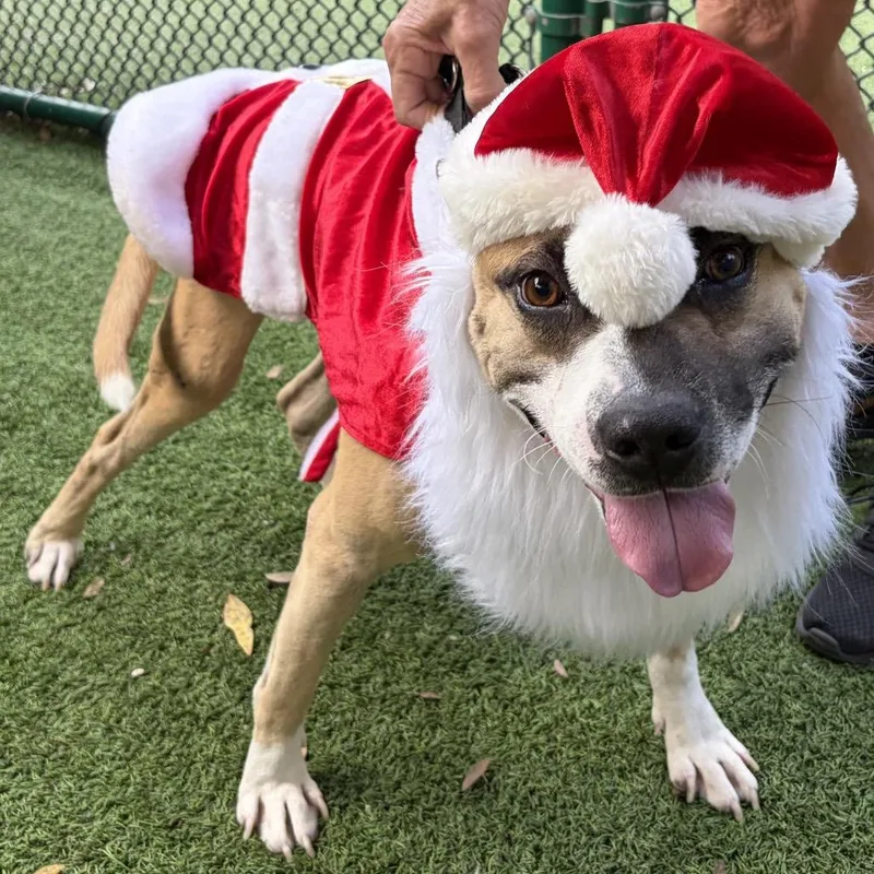 Freddy Krueger thumbnail 4