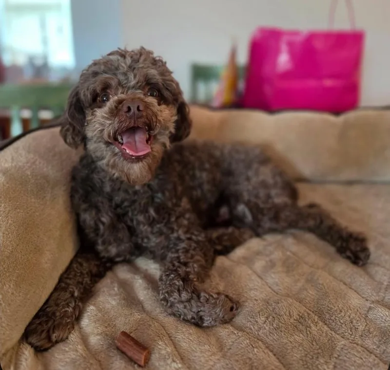 Hershey thumbnail 2