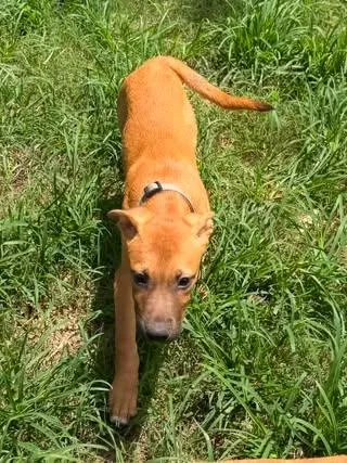 Sam