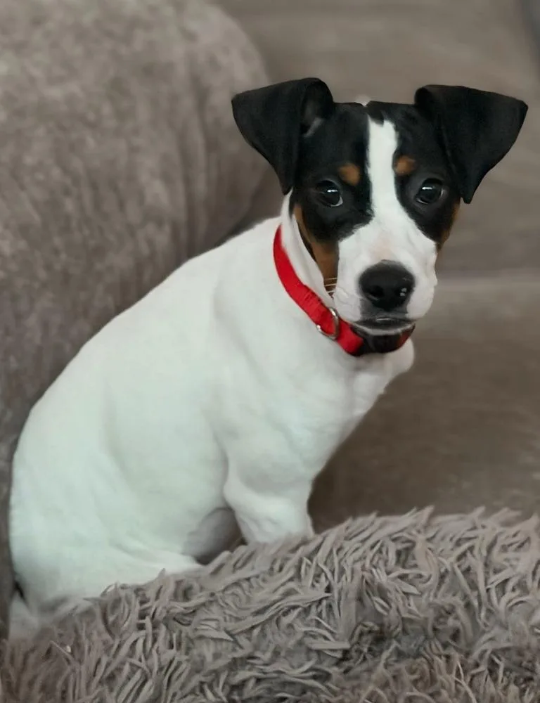 Valentine thumbnail 2