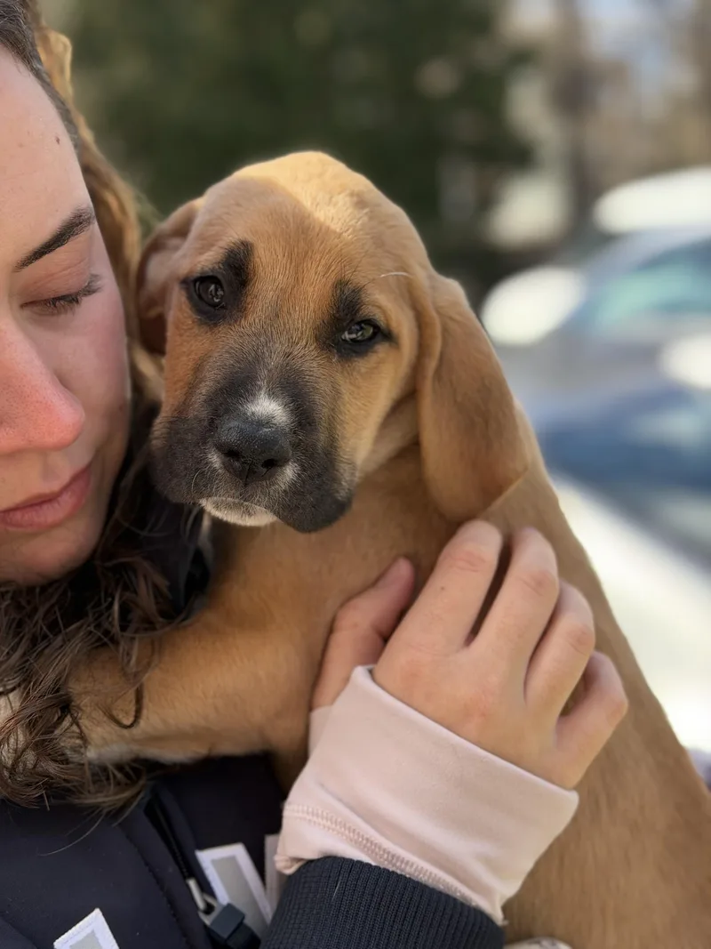 Finnegan thumbnail 5