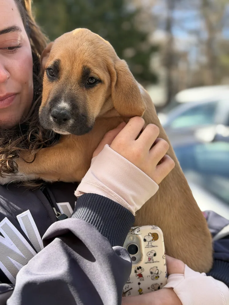 Finnegan thumbnail 6