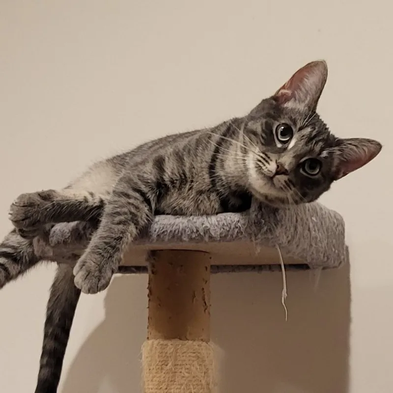 Jessica & Caroline thumbnail 2