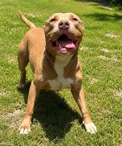 Luna