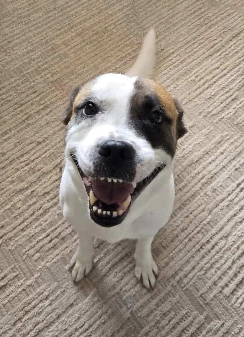 Andie Elise thumbnail 3