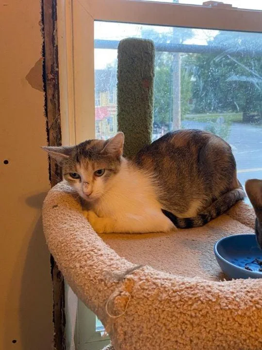 Momma Stubby thumbnail 2