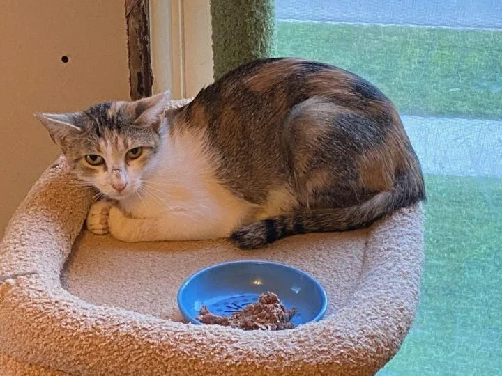 Momma Stubby thumbnail 4