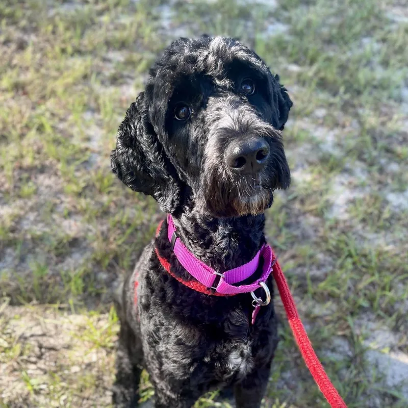 Mable thumbnail 6