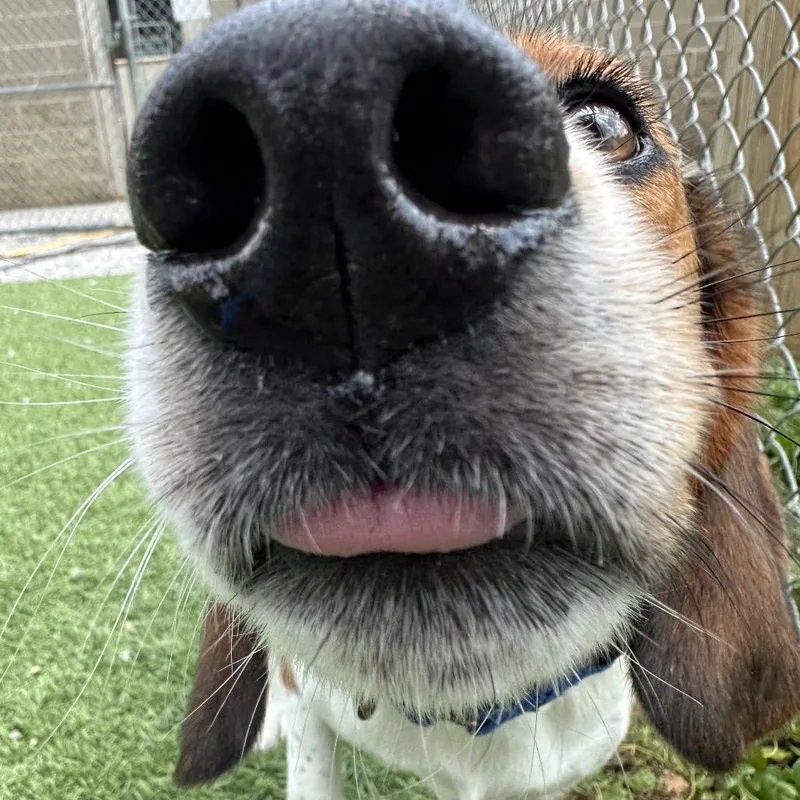 Pablo