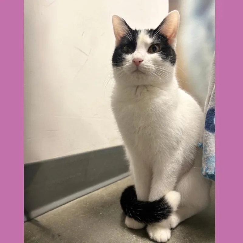 Harrisburg thumbnail 2