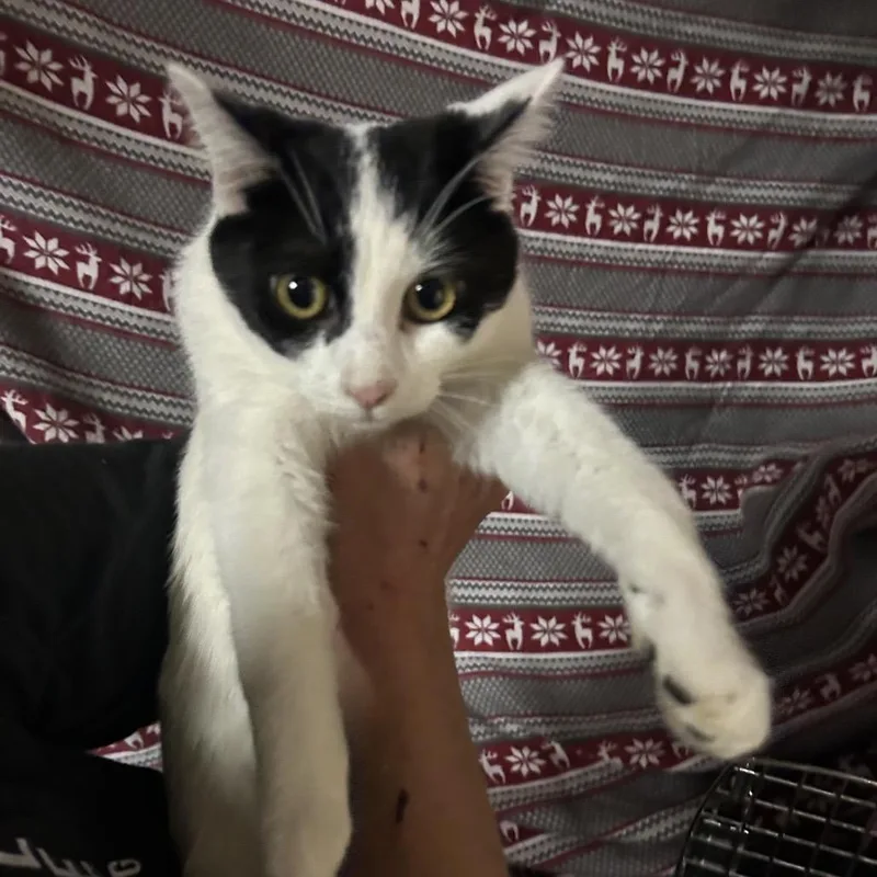 Harrisburg thumbnail 3