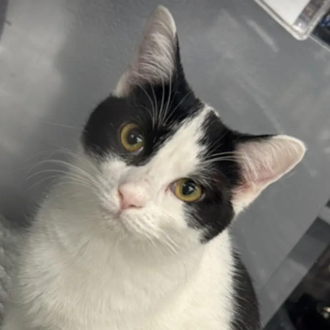 Harrisburg thumbnail 4