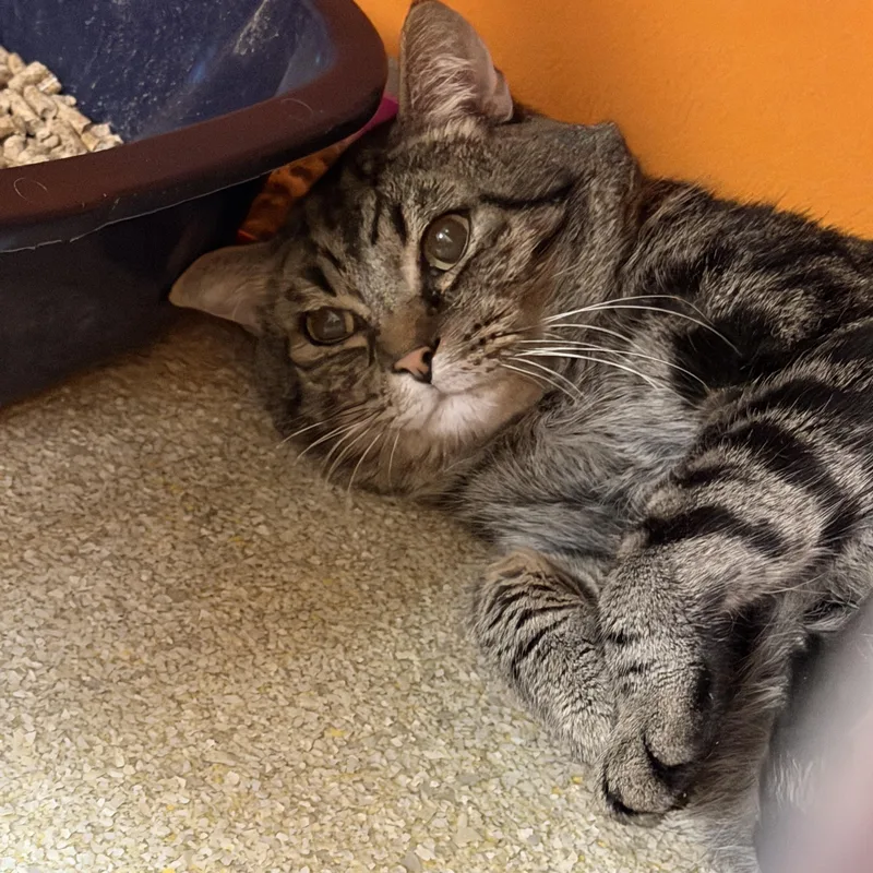 Benjamin thumbnail 2