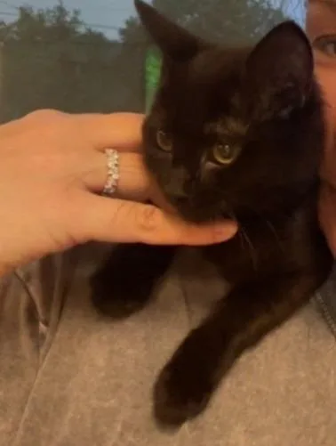 Luna thumbnail 2