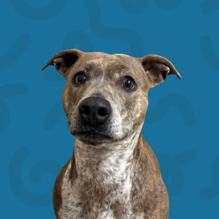 Raincloud thumbnail 2