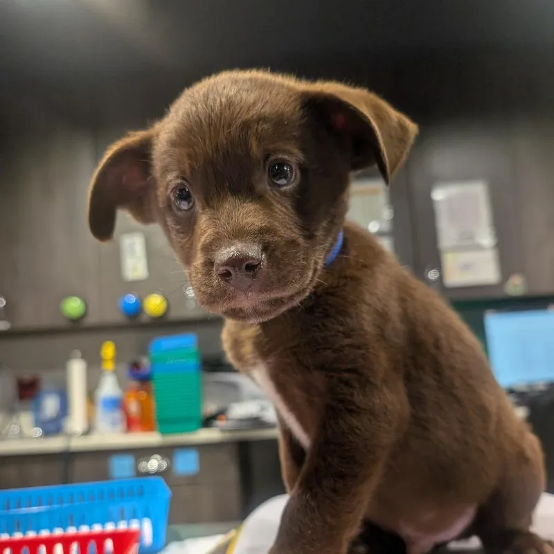 George Grimes thumbnail 2