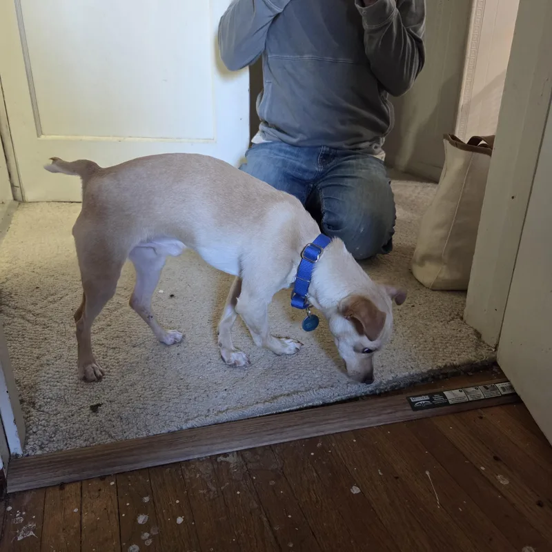 Tiny Man thumbnail 6