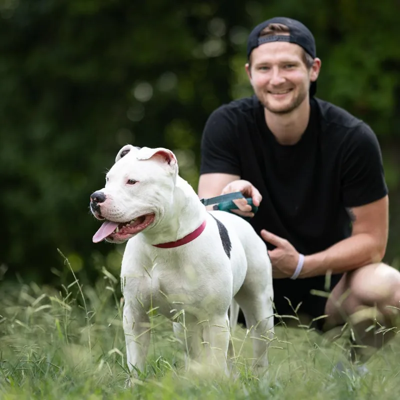 Splotter thumbnail 3