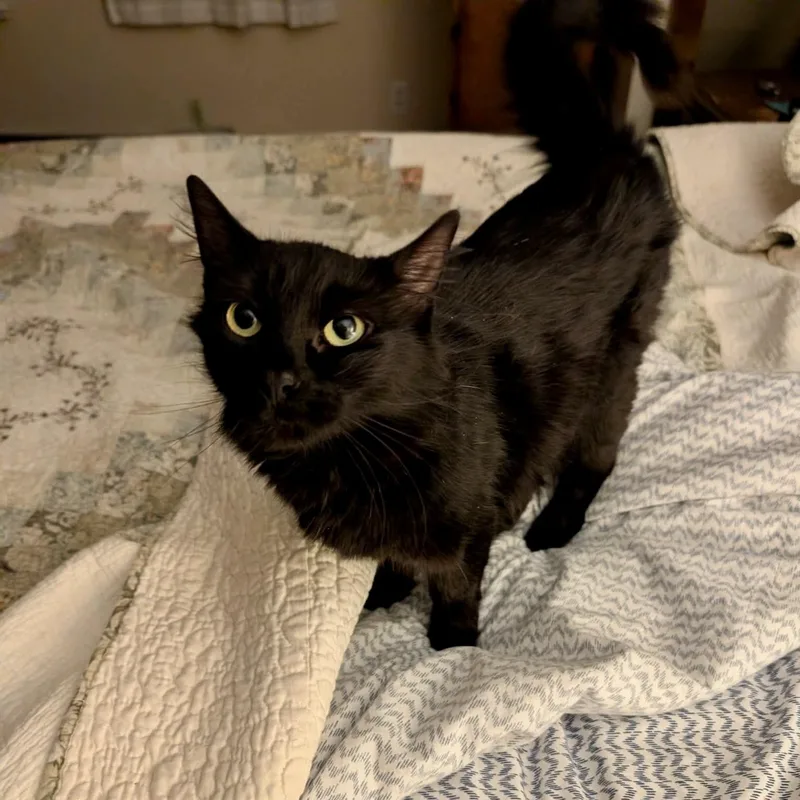 Maggie thumbnail 4