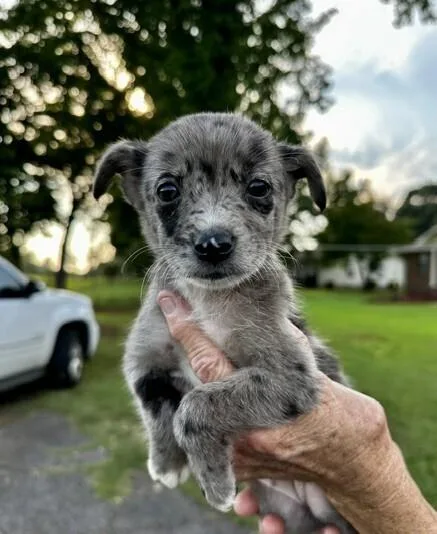 Baby Loretta thumbnail 2