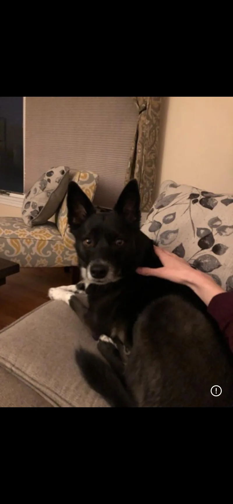 Lila Frick thumbnail 2