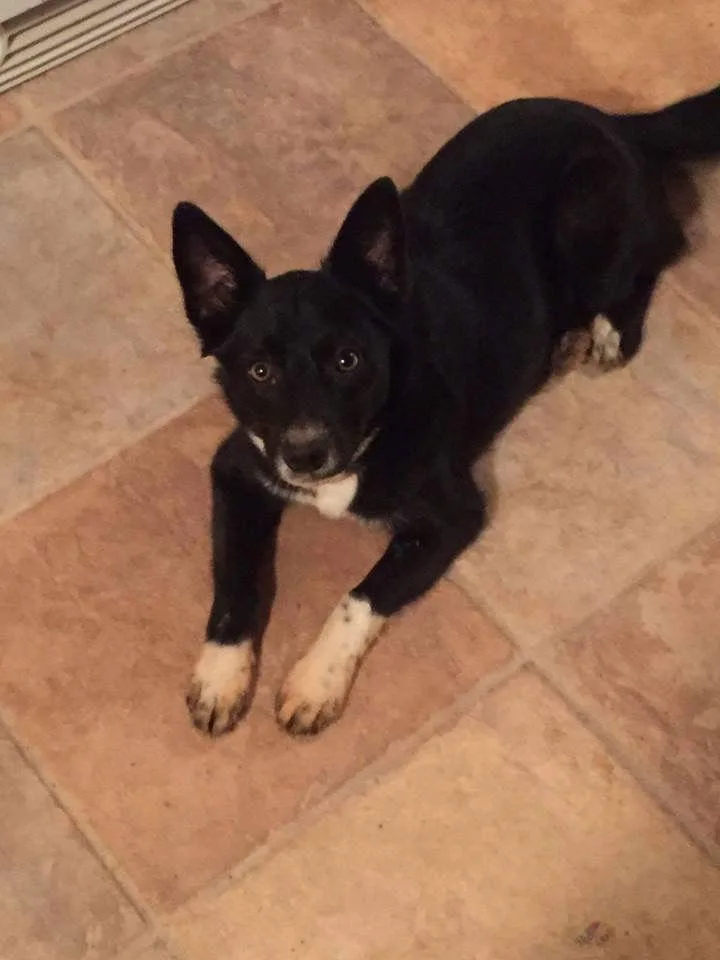 Lila Frick thumbnail 3