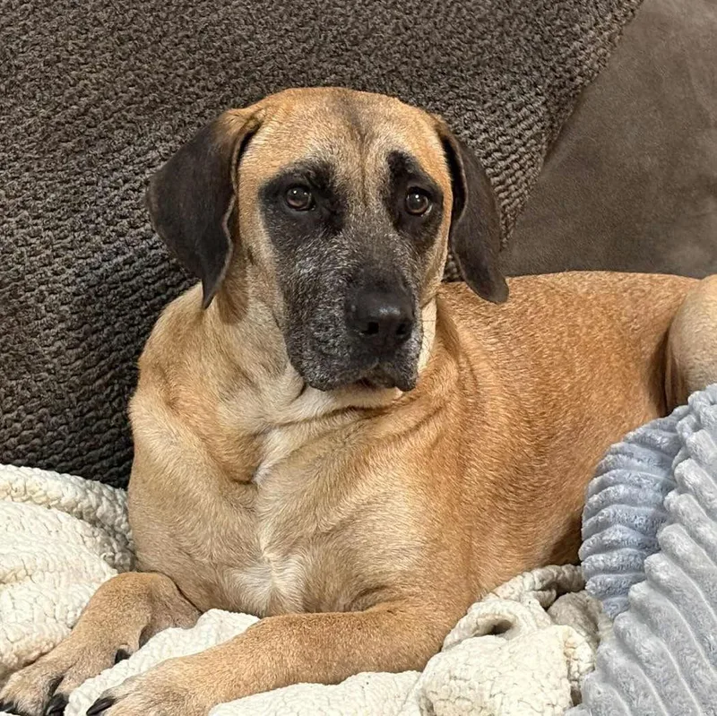 Scuttles thumbnail 2