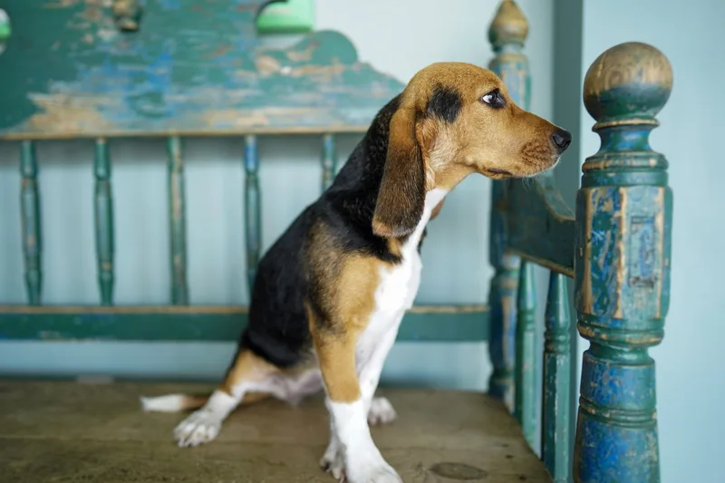 Samantha thumbnail 2