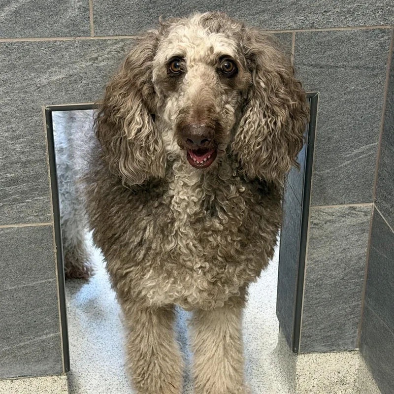 Sadie Beth thumbnail 2