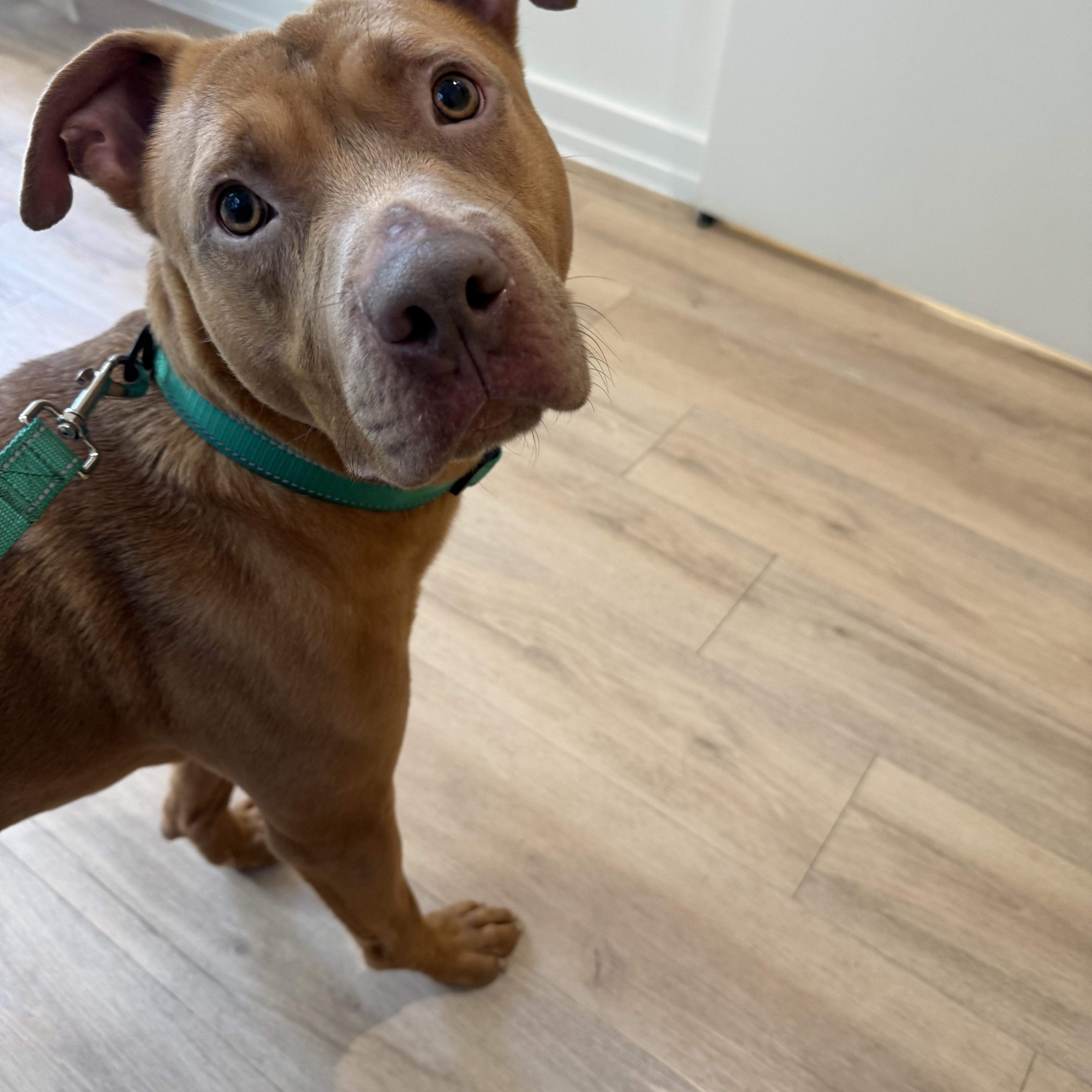 Vamos And Ken thumbnail 2