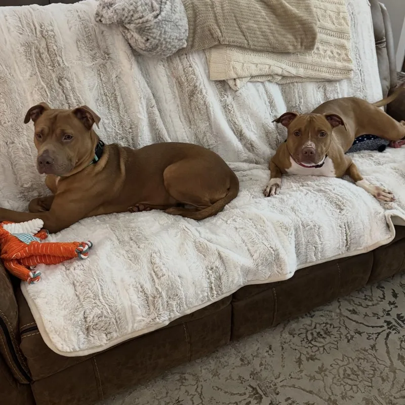 Vamos And Ken thumbnail 4