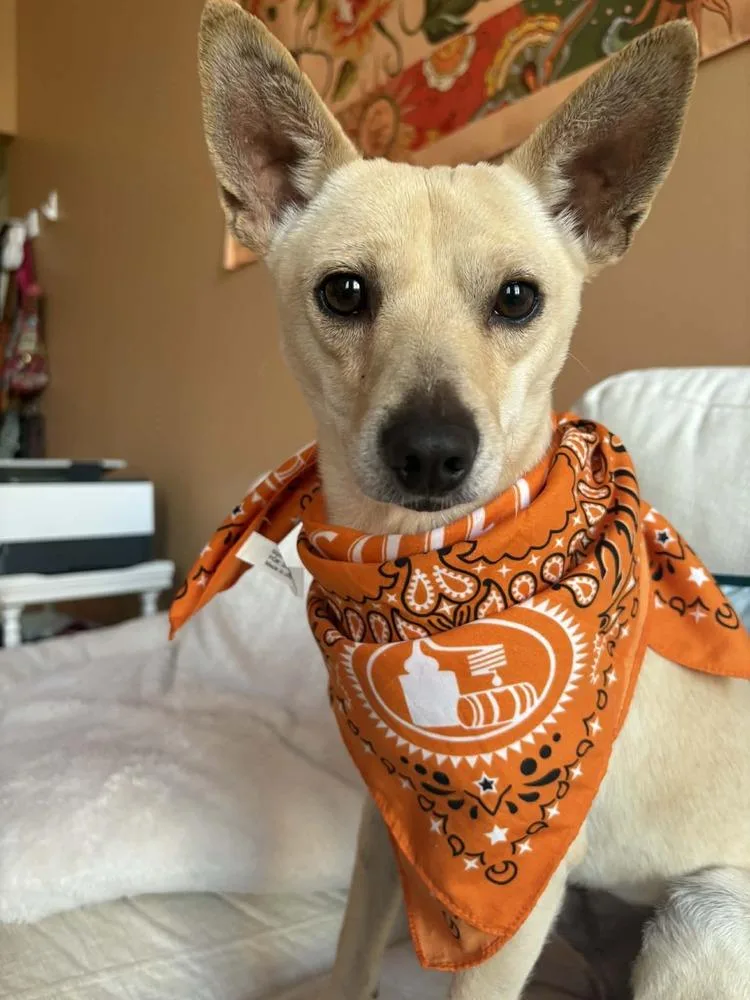 Ratatouille thumbnail 2