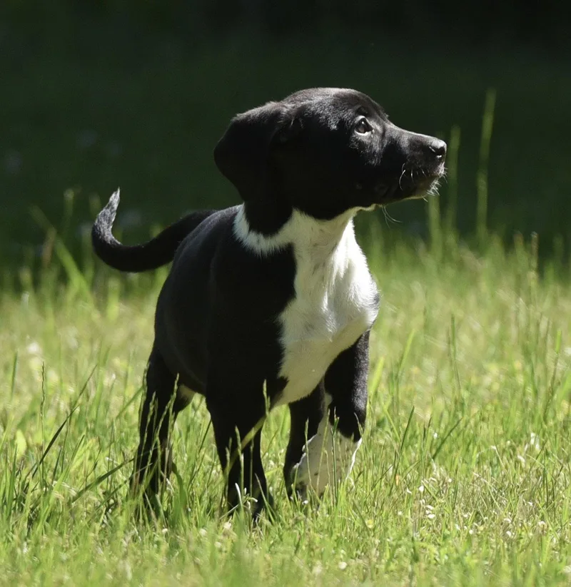 Oakley thumbnail 2