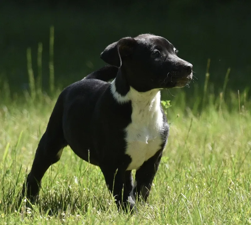 Oakley thumbnail 3