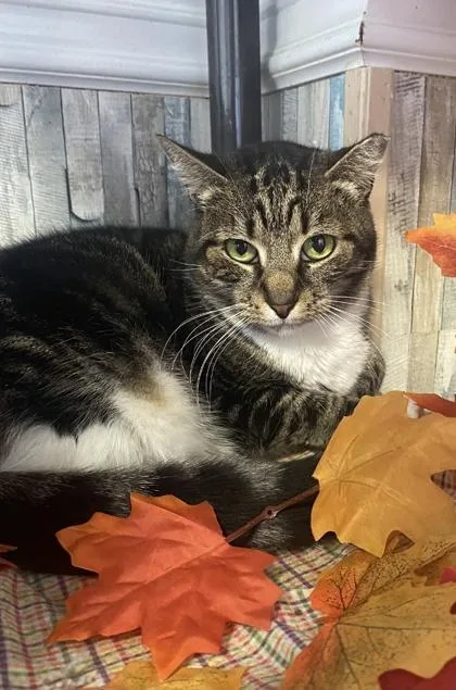 Sad Eyes Samantha thumbnail 3