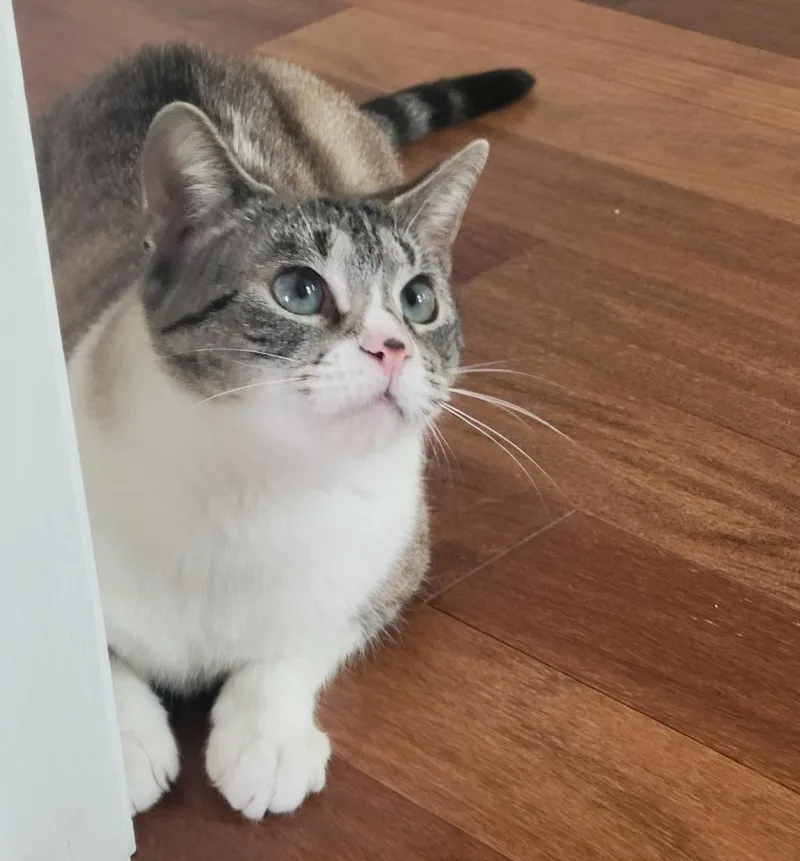 Elizette thumbnail 2