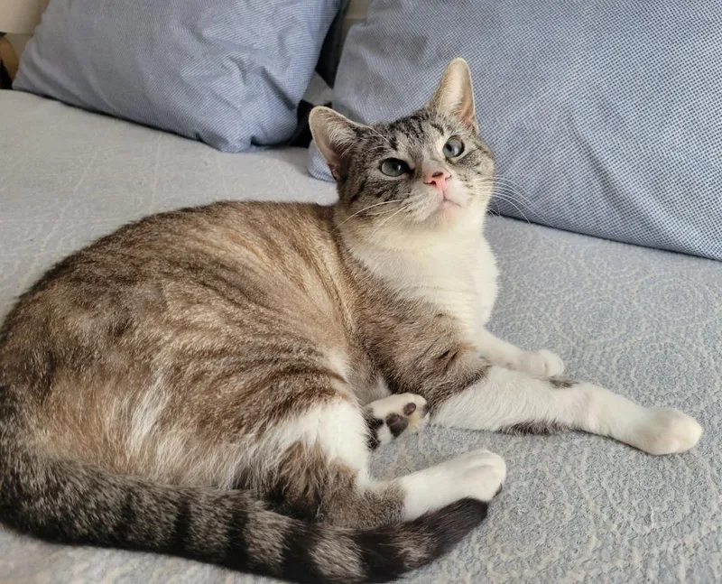 Elizette thumbnail 4