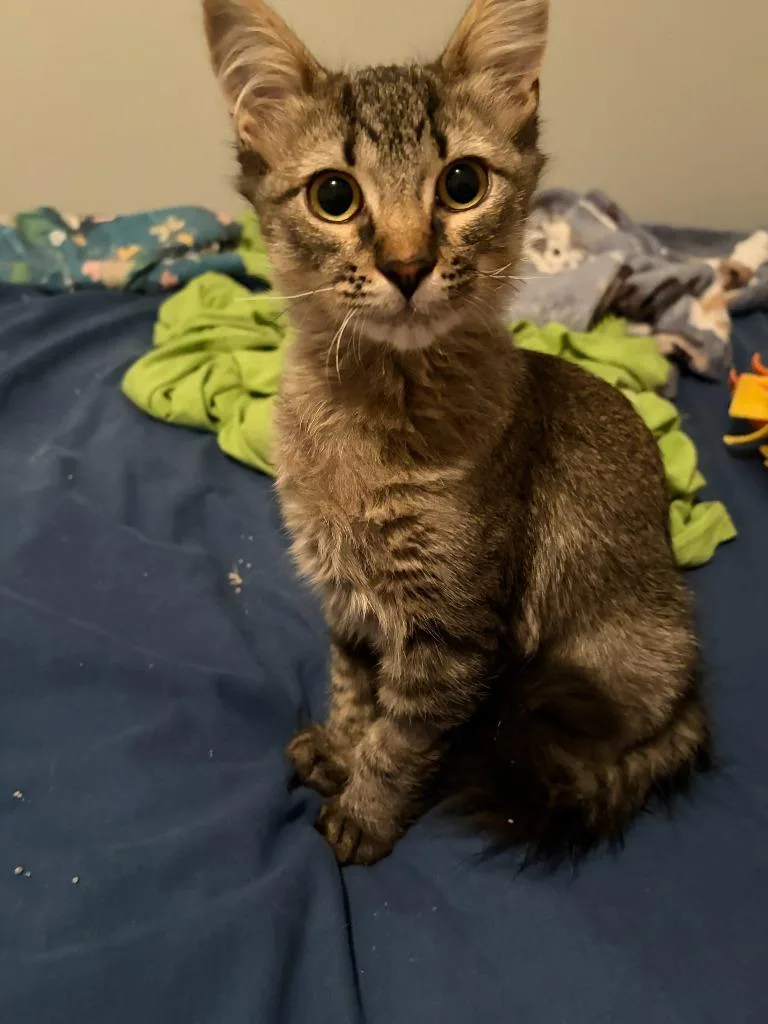 Oliver