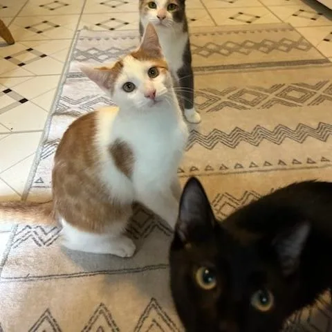 Whitney With Summer  thumbnail 2