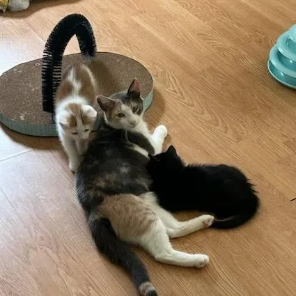 Whitney With Summer  thumbnail 3