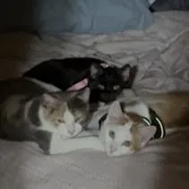 Whitney With Summer  thumbnail 4