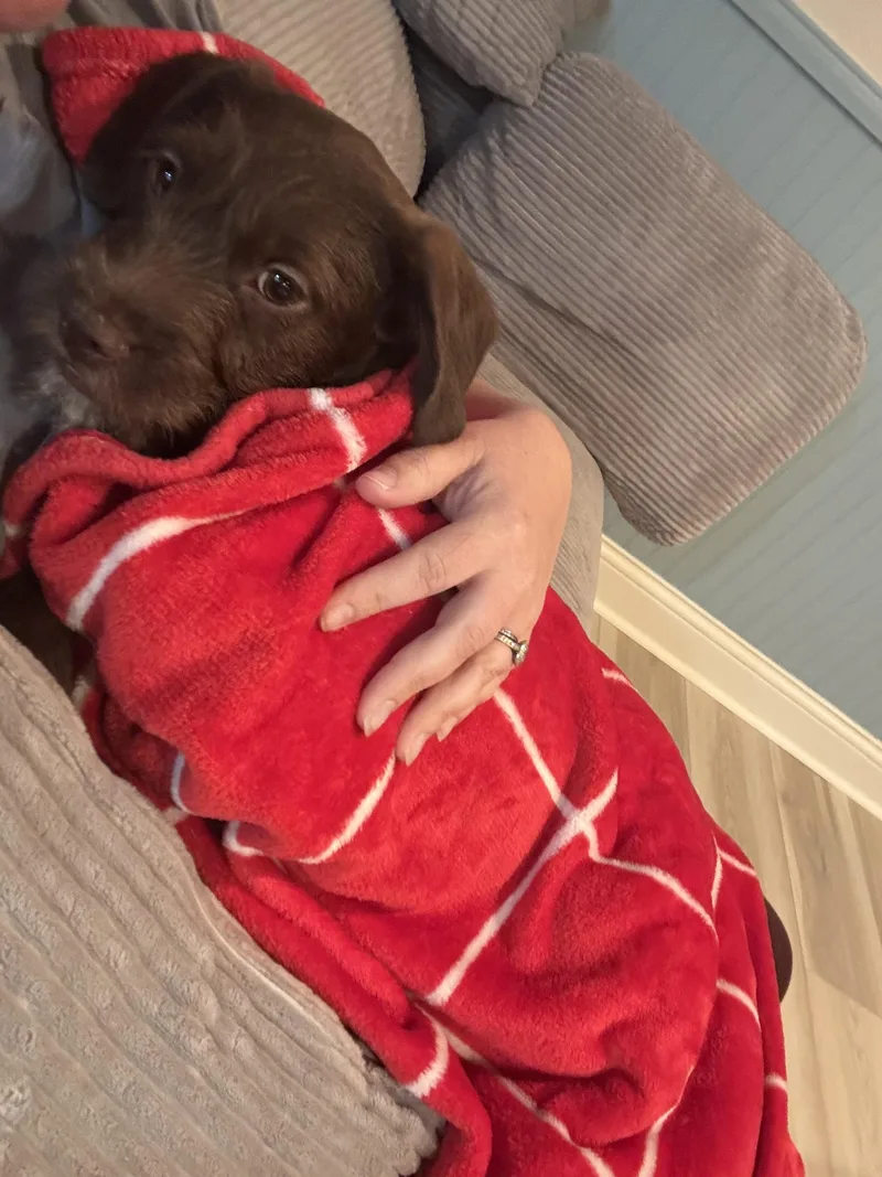 Princess Buttercup thumbnail 2