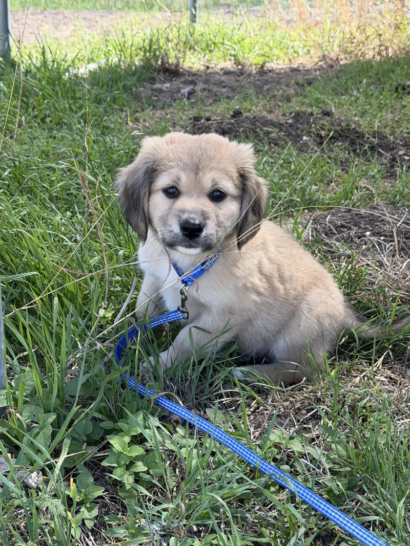 Hamilton thumbnail 2