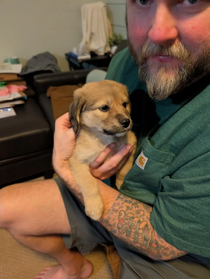 Hamilton thumbnail 3